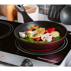 Fornello Elettrico Doppia Piastra Vetroceramica 2400W Piano Cottura SK-224 -Barbecue Forniture Negozio 82891029 4