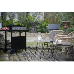 Garden Max Gas Plancha - 3 Luci - Su Un Carrello - Acciaio Smaltato - 60 X 35 Cm - Nero -Barbecue Forniture Negozio 99472653 2